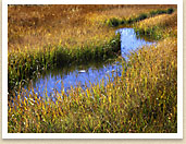 High Sierra Mountain Stream